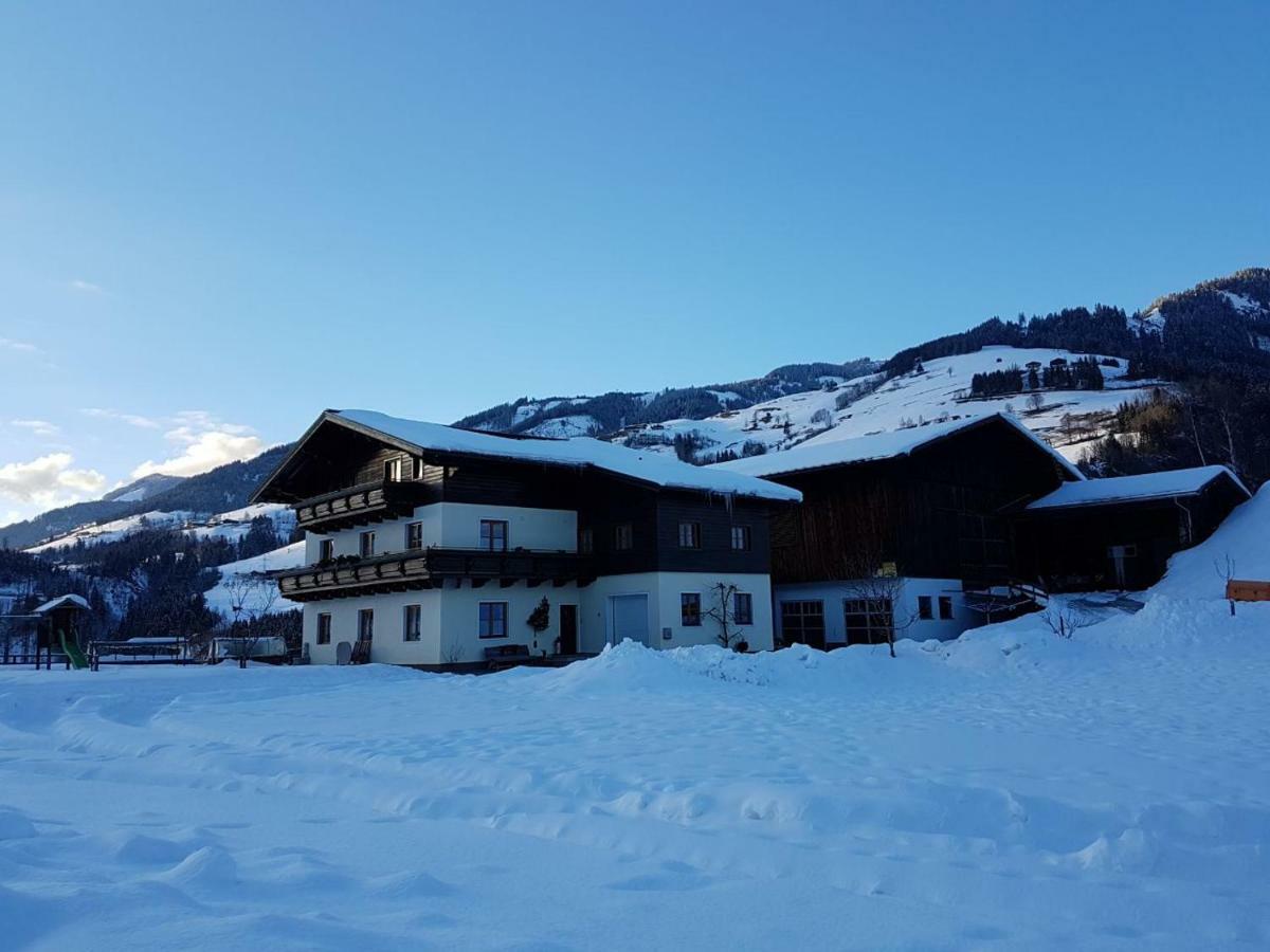 Rieserhof/Fam. Meissnitzer Taxenbach Exterior photo